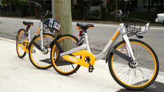 Can People Ever Be Trusted With Dockless Bike-Sharing?<em></em>
